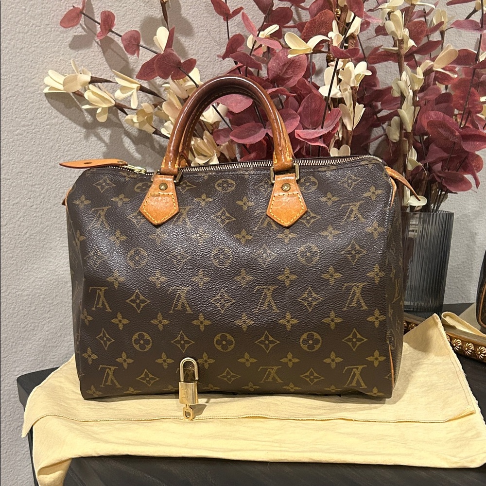 Louis Vuitton Monogram Speedy 30